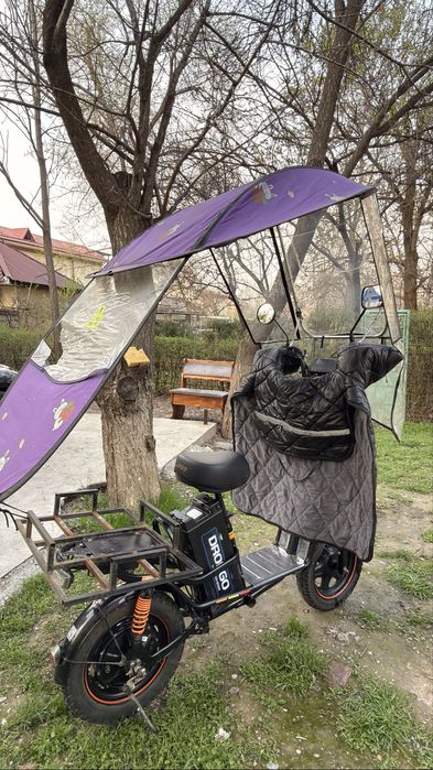 Drongo elektrovelo