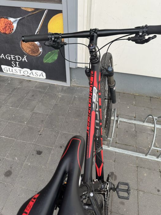 Bicicleta Focus Black Forest