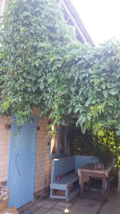 Продам дачу в с/о Борки