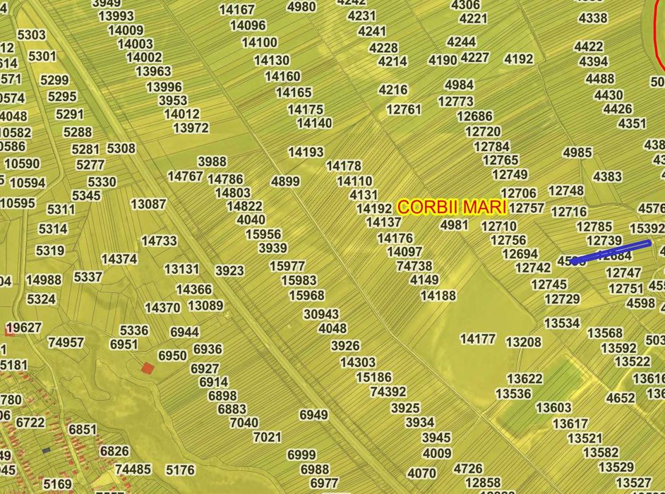 Teren de vanzare – Corbii Mari, langa Autostrada A1 – 4.800 mp