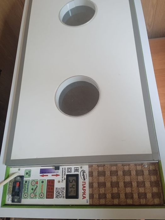 Инкубатор сатылады