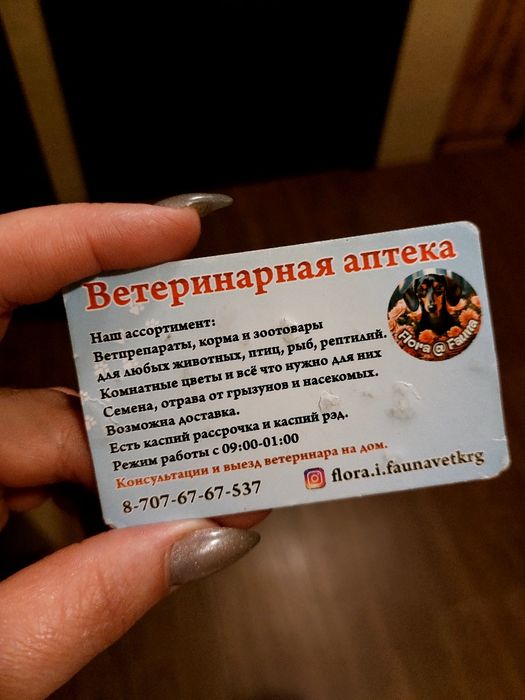 Ветеринар на выезд