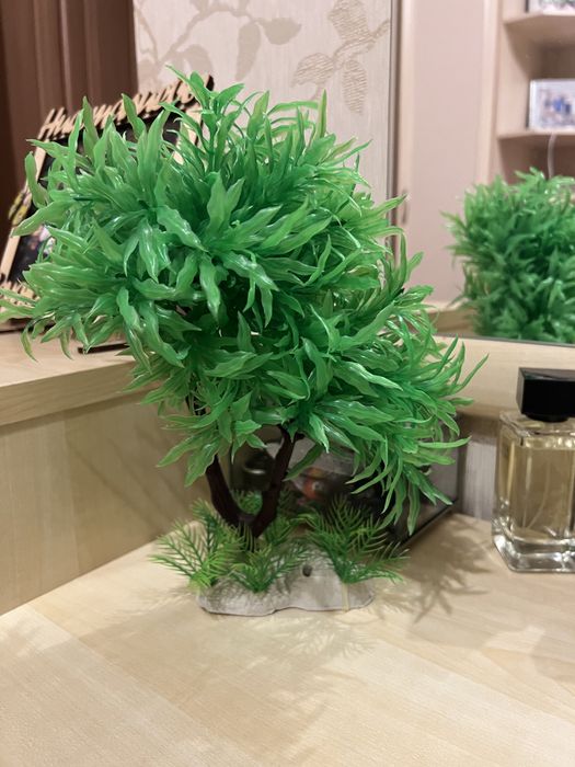 Дерево для аквариума