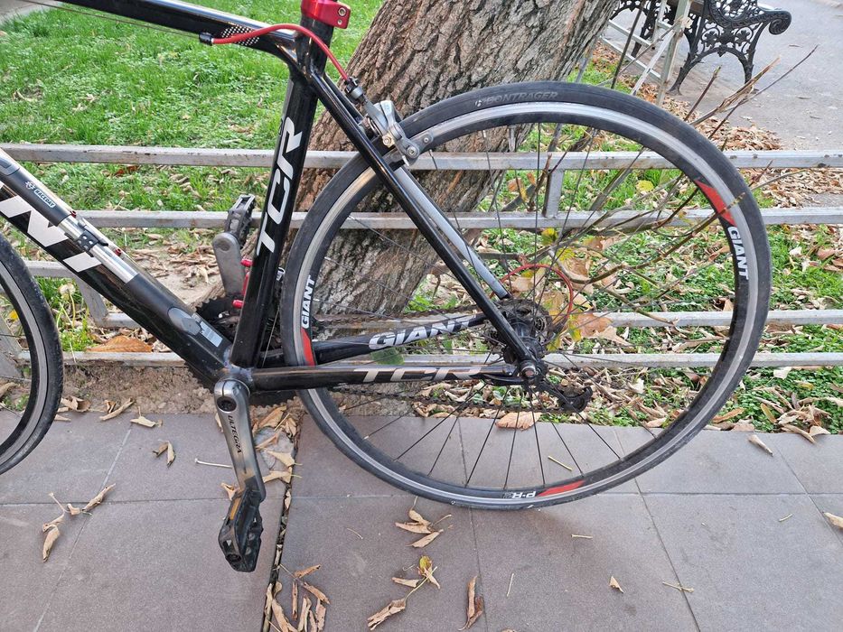 Cursiera GIANT TCR, Marime M, EN 14781