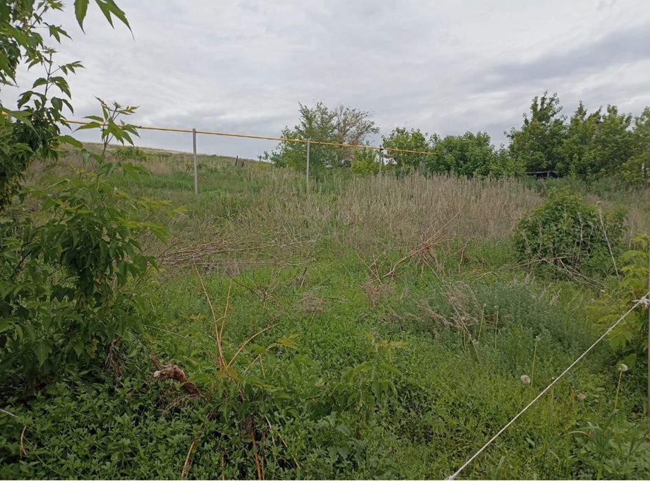 Продам 11 сот земли ИЖС Оренбург