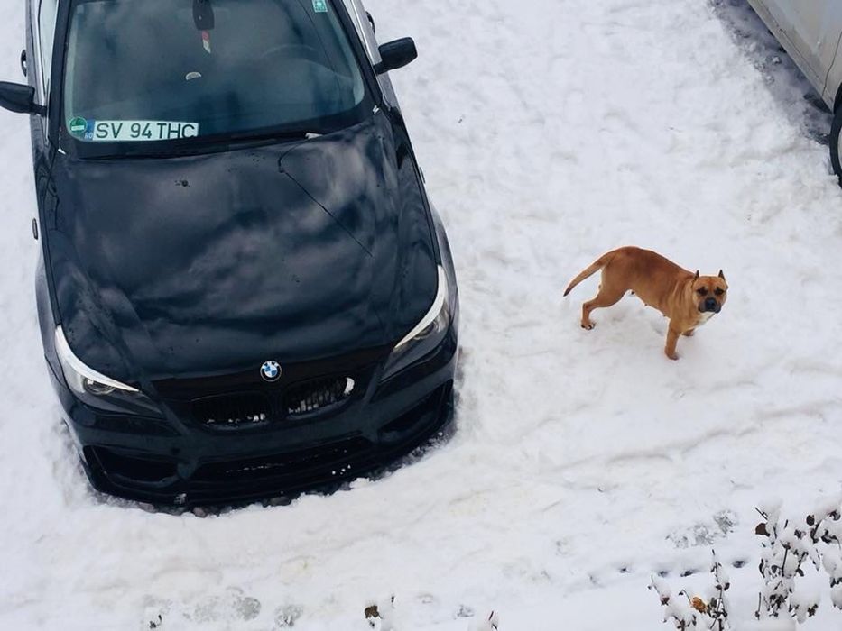 Vând BMW e60 motor 2.2i