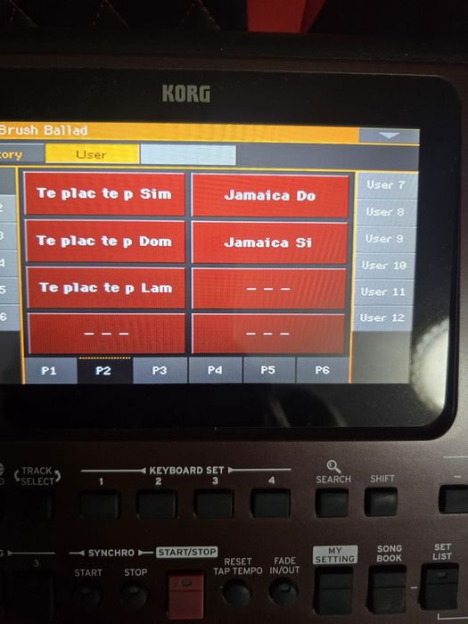Set korg pa1000 korg pa4 pa5korg pa700 Automat introduceri noi 2026