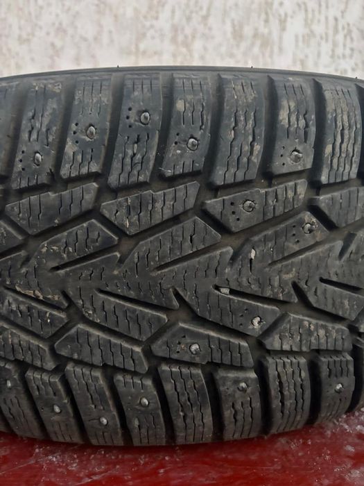 Сатылады бу шипы