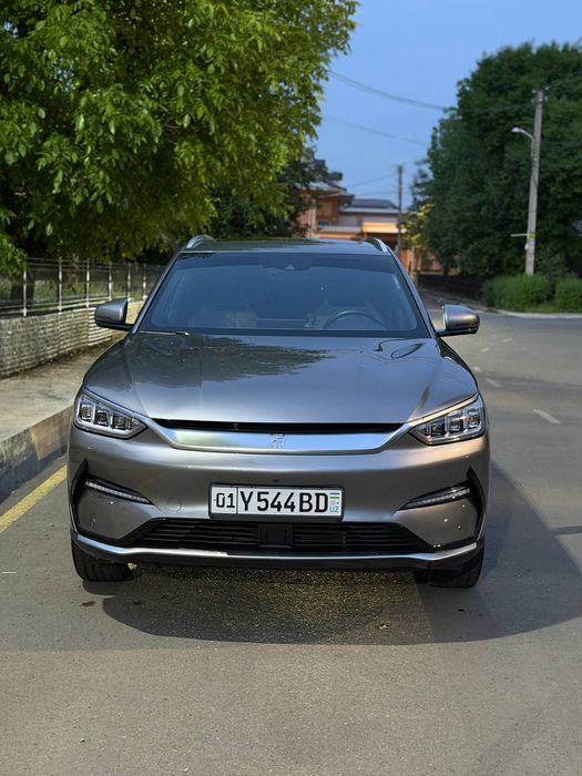 Other Song Plus EV Champion 2022