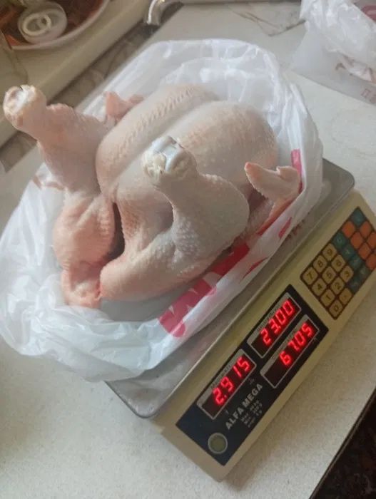 Домашние бройлеры в Шымкенте. Натуральное свежее мясо