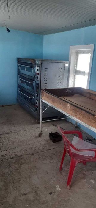 Qolibli non pechkasi