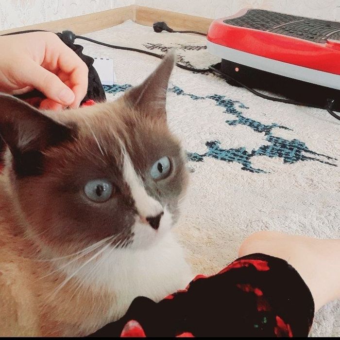 Qishloq porno videolarini onlayn tomosha qiling.