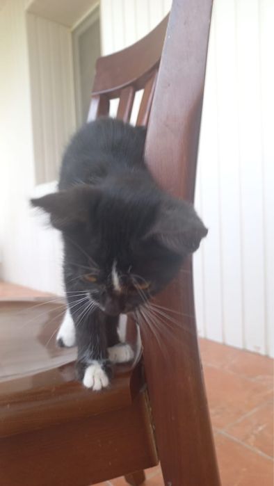 Счастье в ваш дом