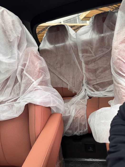 Denza N8L (parallel gibrid)