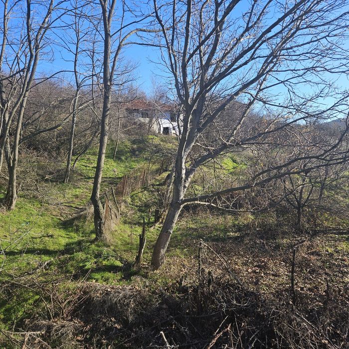 Парцел, къща Горна василица