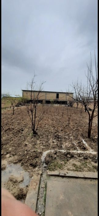 Тошкент тумани Кибрай чинобод 9сотих ер котта молхонаси бор тайёр