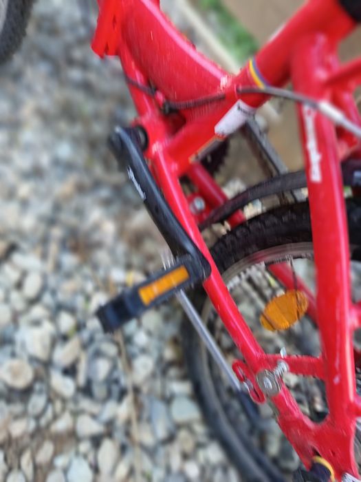 Bicicleta Pegas dama