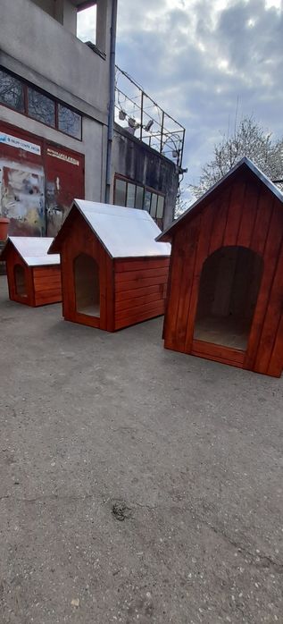 confectionez custi pentru caini