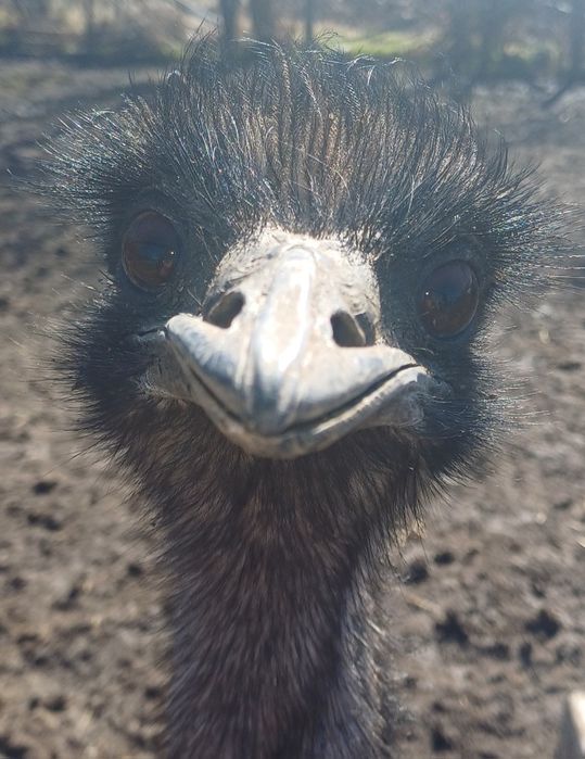 Мъжко ему на 4г.