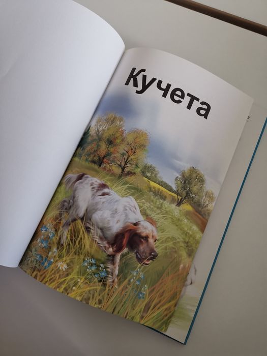 Енциклопедия за кучетата, дефектна корица