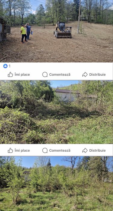 Defrisari curatat teren , iasi