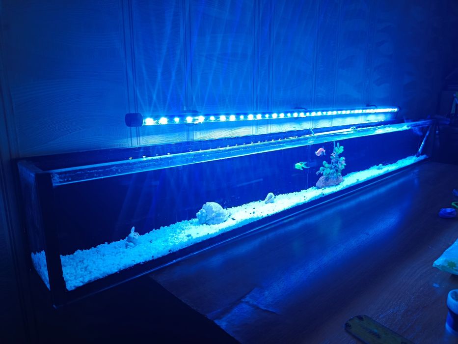 Продается аквариум +2 рыбы