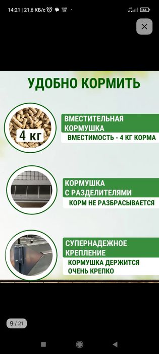 Браудер для цыплят