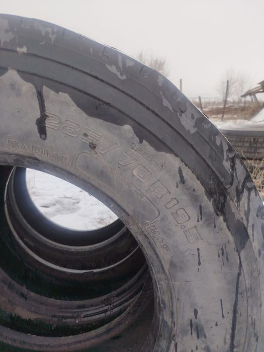 Донгелек сатылаты