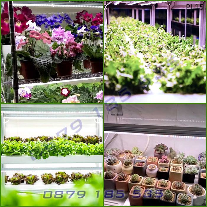 4 LED лампи отглеждане растеж стайни растения цветя лед светлина фито