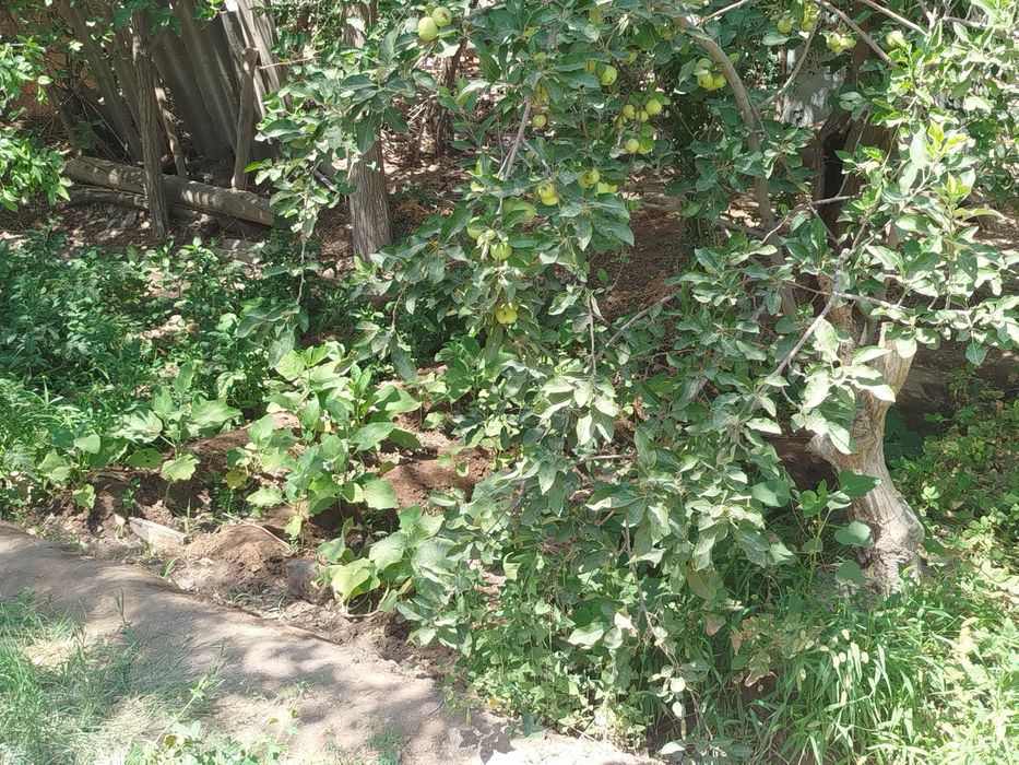 Kvartira sotiladi,yangiarik shaharchasinda.parkni yonida.