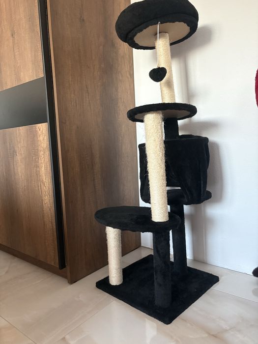 Котешка катерушка