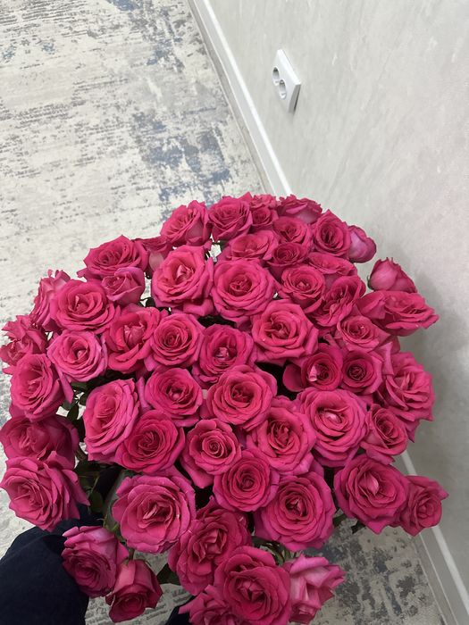 Роза гүл жаңа бүгін жасалған…