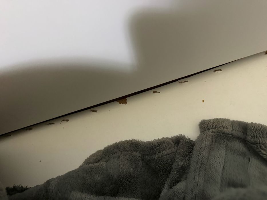 Продаю диван  за 20 окончательно