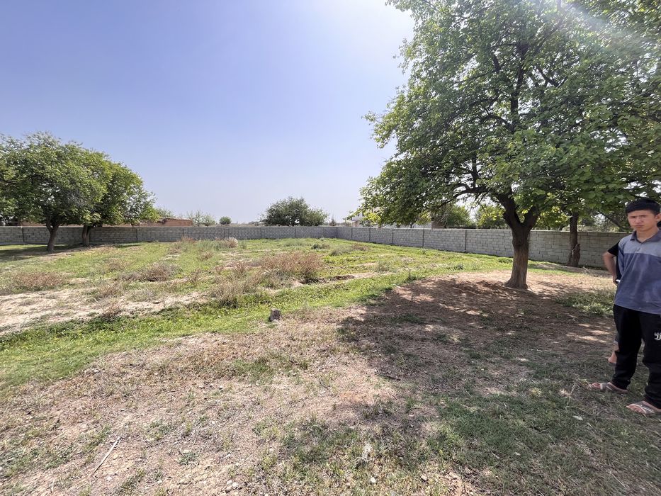 Kasbi tumanida yer sotiladi