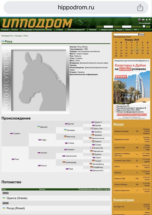 Тазақанды айғыр сатылады