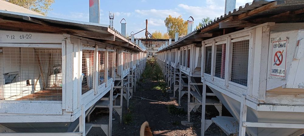 Клетки для кроликов уличного содержания