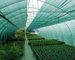 quyosh  setka soya setka