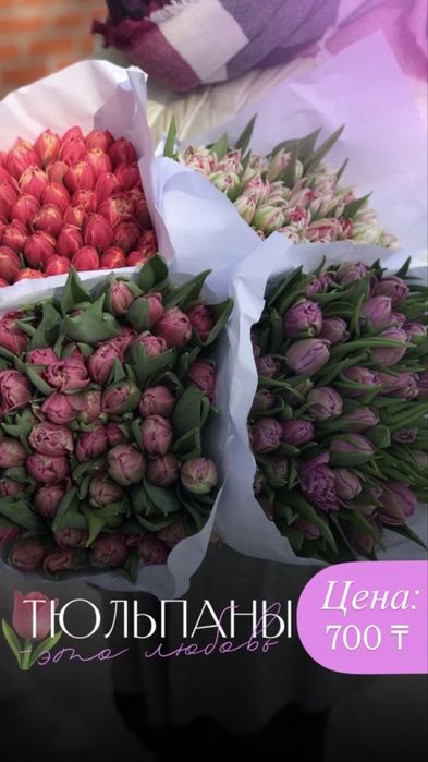 Свежие и красивые тюльпаны на 8 марта