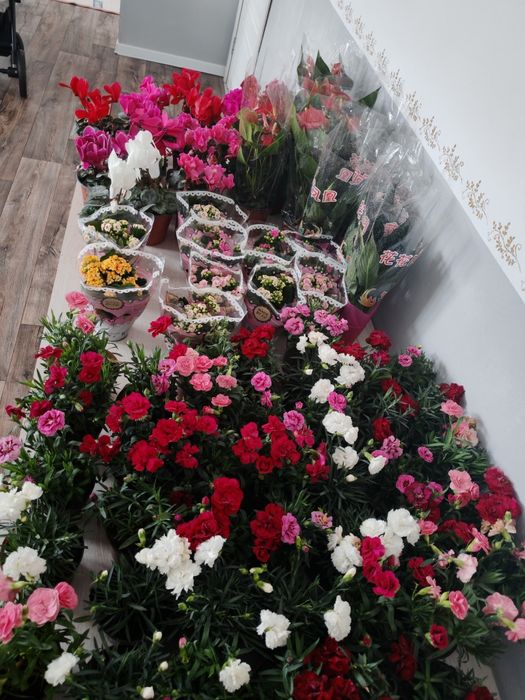 Бөлме гүлдері район Компоселок