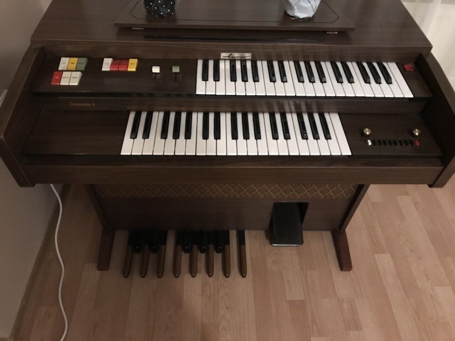 Orga electrica Borsini Serenade2