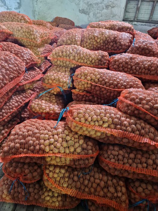 Vand cartofi consum 50+, de samanta, animale