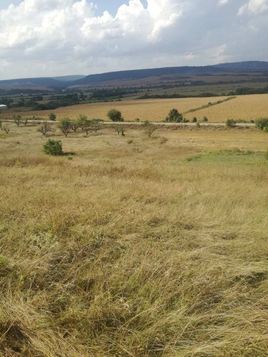 Продава се Парцел в с. Сава, Област Варна - 960 кв.м за 6 €/кв.м - Снимка #2