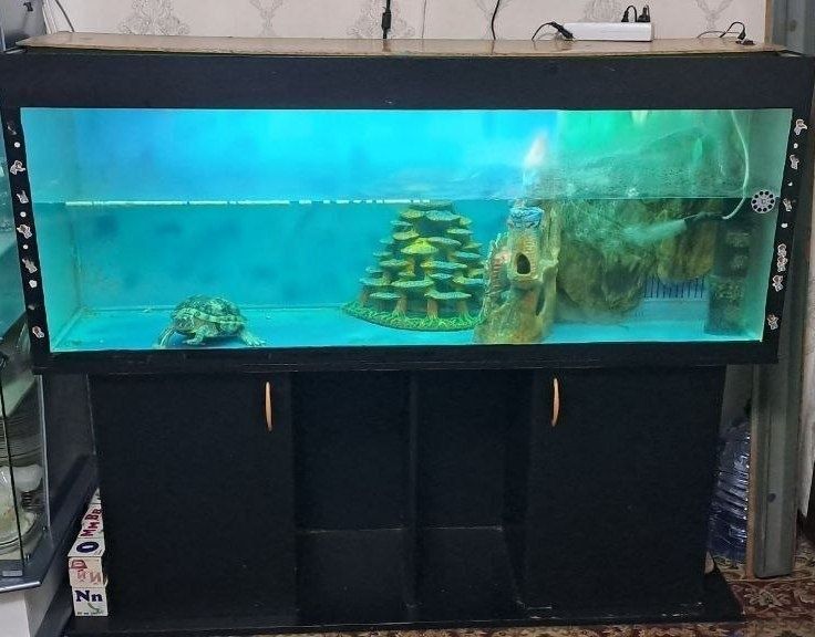 Балшой Аквариум с мебелом