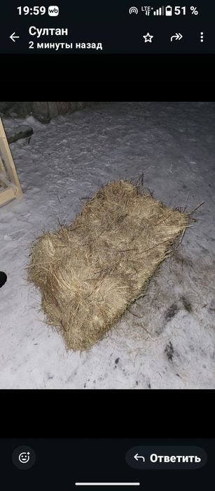 Продам сено (тюки)