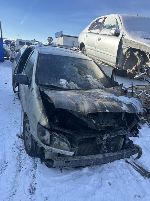 На разбор Сиена   .