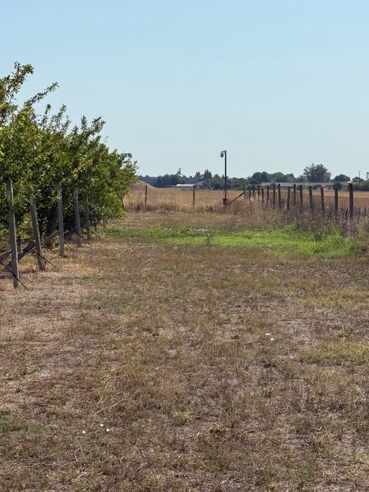 Продавам Овощна градина в с. Цалапица.