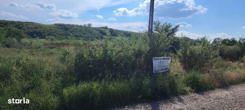 Teren intravilan de vânzare – 5.000 mp, Com. Belcești (sat Rusi)