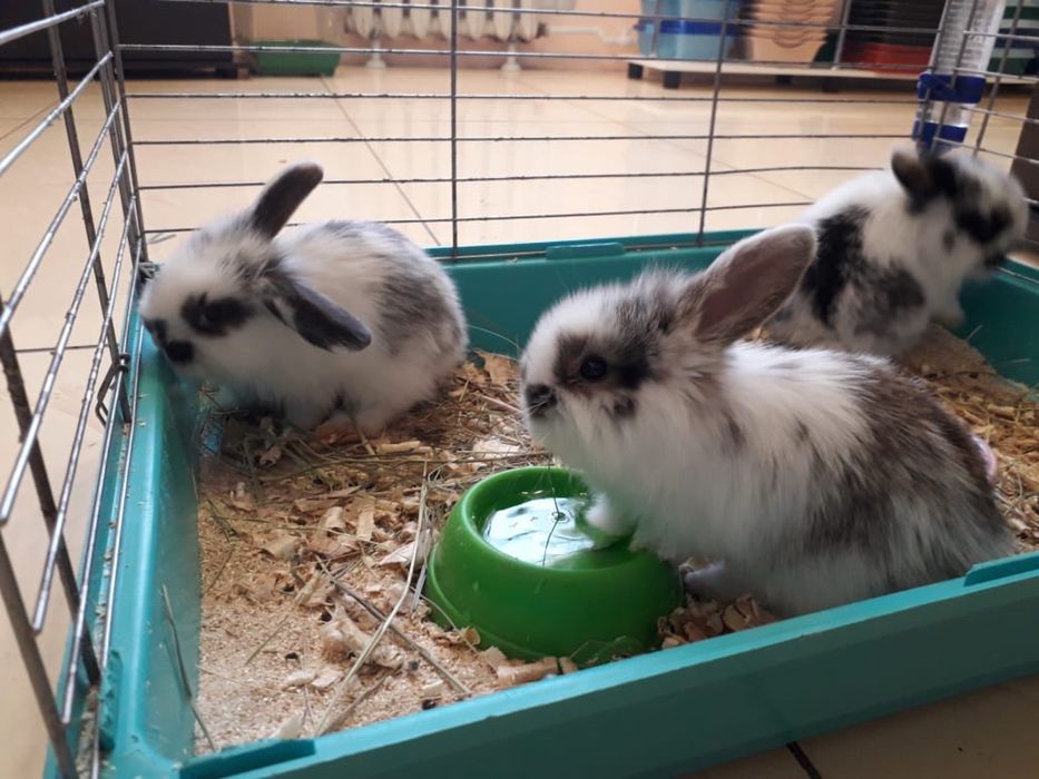 Подарок на 14 февраля !