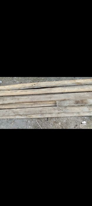 Стропыла ёгочлар сотилади