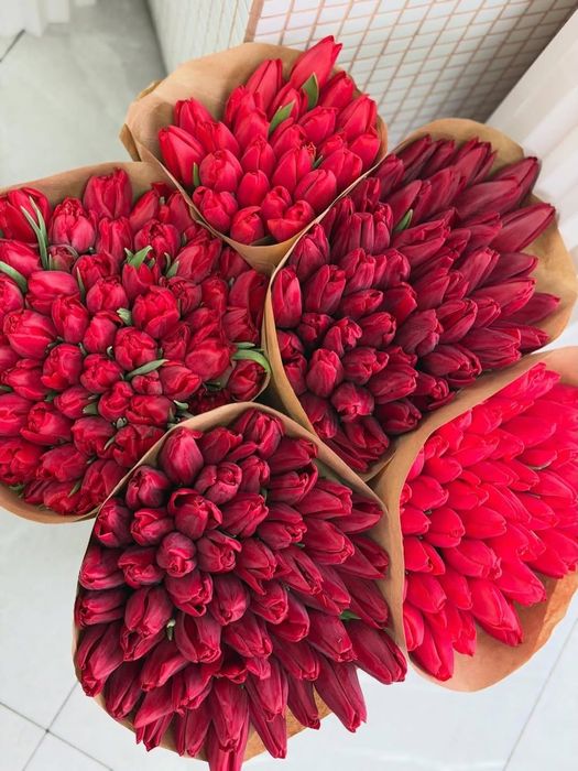 ТЮЛЬПАН ТУРКЕСТАН Оптом и в розницу